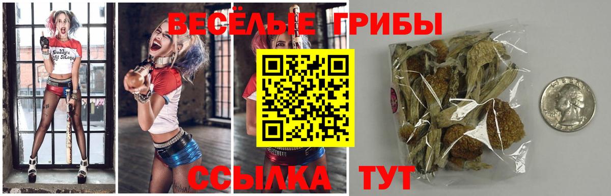 где купить   Вход с VPN  Воркута  Псилоцибиновые грибы Magic Shrooms 
